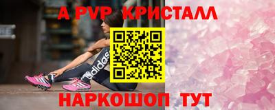 шишки Новозыбков