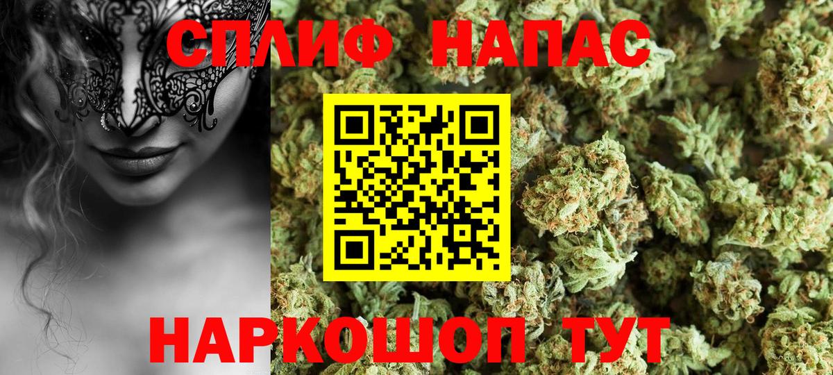 Шишки марихуана конопля  Марихуана Bruce Banner  Марихуана план  МАРИХУАНА THC 21%  Вход с VPN  Соликамск 